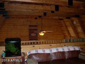 3385 Buckskin Rd, Overgaard, AZ 85933 photo 102