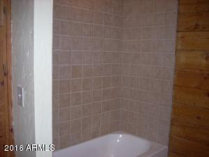 3385 Buckskin Rd, Overgaard, AZ 85933 photo 109