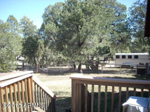 3385 Buckskin Rd, Overgaard, AZ 85933 photo 58