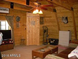 3385 Buckskin Rd, Overgaard, AZ 85933 photo 99