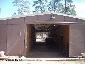 3385 Buckskin Rd, Overgaard, AZ 85933 photo 142