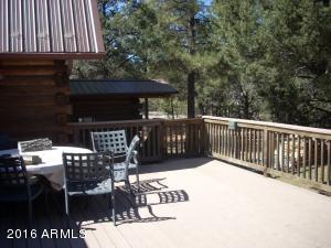 3385 Buckskin Rd, Overgaard, AZ 85933 photo 129