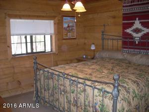 3385 Buckskin Rd, Overgaard, AZ 85933 photo 110