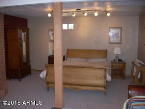 3385 Buckskin Rd, Overgaard, AZ 85933 photo 40