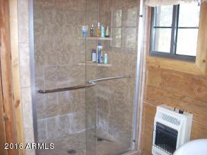 3385 Buckskin Rd, Overgaard, AZ 85933 photo 125