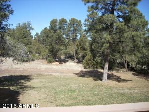 3385 Buckskin Rd, Overgaard, AZ 85933 photo 133