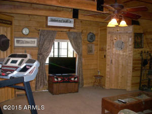 3385 Buckskin Rd, Overgaard, AZ 85933 photo 24