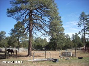 3385 Buckskin Rd, Overgaard, AZ 85933 photo 137