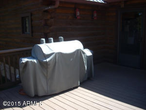 3385 Buckskin Rd, Overgaard, AZ 85933 photo 55