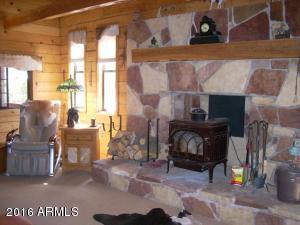 3385 Buckskin Rd, Overgaard, AZ 85933 photo 94