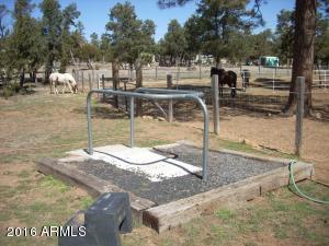 3385 Buckskin Rd, Overgaard, AZ 85933 photo 151