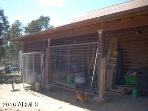 3385 Buckskin Rd, Overgaard, AZ 85933 photo 140