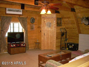 3385 Buckskin Rd, Overgaard, AZ 85933 photo 23