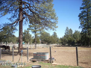 3385 Buckskin Rd, Overgaard, AZ 85933 photo 61