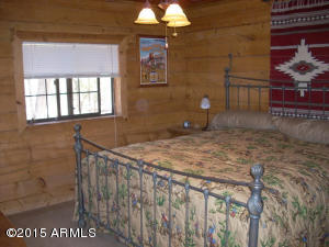 3385 Buckskin Rd, Overgaard, AZ 85933 photo 33