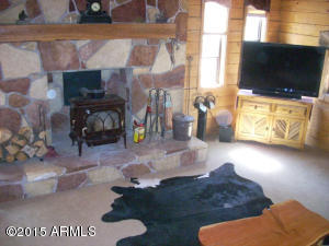 3385 Buckskin Rd, Overgaard, AZ 85933 photo 20