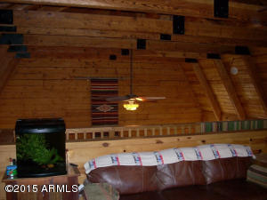 3385 Buckskin Rd, Overgaard, AZ 85933 photo 25