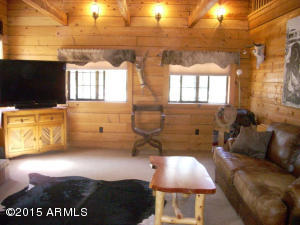 3385 Buckskin Rd, Overgaard, AZ 85933 photo 15