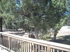 3385 Buckskin Rd, Overgaard, AZ 85933 photo 57