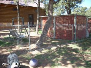 3385 Buckskin Rd, Overgaard, AZ 85933 photo 153