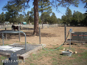 3385 Buckskin Rd, Overgaard, AZ 85933 photo 75