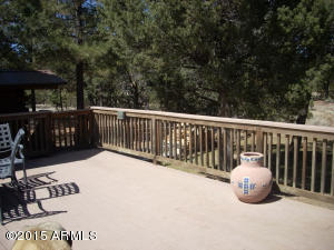 3385 Buckskin Rd, Overgaard, AZ 85933 photo 53