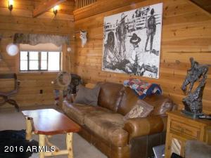 3385 Buckskin Rd, Overgaard, AZ 85933 photo 91