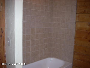 3385 Buckskin Rd, Overgaard, AZ 85933 photo 32