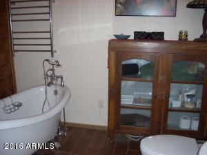 3385 Buckskin Rd, Overgaard, AZ 85933 photo 124