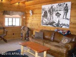 3385 Buckskin Rd, Overgaard, AZ 85933 photo 13