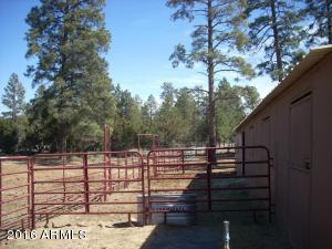 3385 Buckskin Rd, Overgaard, AZ 85933 photo 139