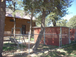 3385 Buckskin Rd, Overgaard, AZ 85933 photo 77