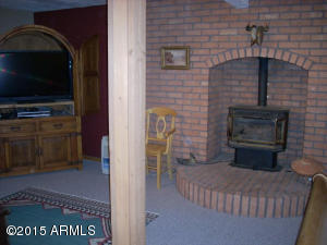 3385 Buckskin Rd, Overgaard, AZ 85933 photo 38