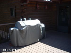 3385 Buckskin Rd, Overgaard, AZ 85933 photo 132