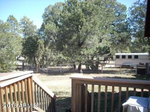 3385 Buckskin Rd, Overgaard, AZ 85933 photo 135