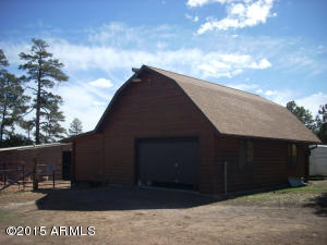 3385 Buckskin Rd, Overgaard, AZ 85933 photo 59
