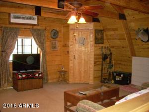 3385 Buckskin Rd, Overgaard, AZ 85933 photo 100