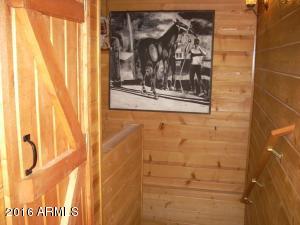3385 Buckskin Rd, Overgaard, AZ 85933 photo 113