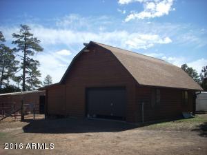 3385 Buckskin Rd, Overgaard, AZ 85933 photo 136