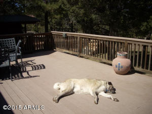 3385 Buckskin Rd, Overgaard, AZ 85933 photo 54