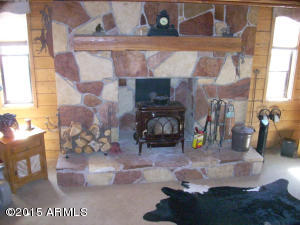 3385 Buckskin Rd, Overgaard, AZ 85933 photo 21