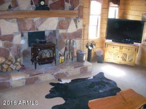 3385 Buckskin Rd, Overgaard, AZ 85933 photo 97