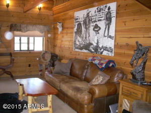 3385 Buckskin Rd, Overgaard, AZ 85933 photo 14
