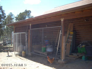 3385 Buckskin Rd, Overgaard, AZ 85933 photo 63