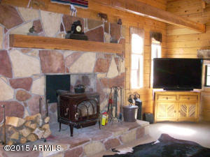 3385 Buckskin Rd, Overgaard, AZ 85933 photo 16