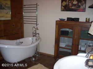 3385 Buckskin Rd, Overgaard, AZ 85933 photo 46