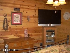 3385 Buckskin Rd, Overgaard, AZ 85933 photo 112