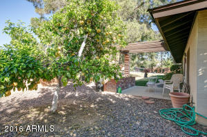 2736 Encanto Cir, Mesa, AZ 85213 photo 22