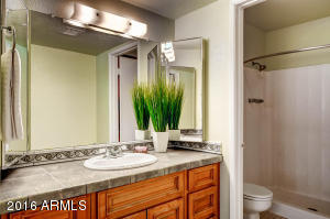 2925 E John Cabot Rd, Phoenix, AZ 85032 photo 9