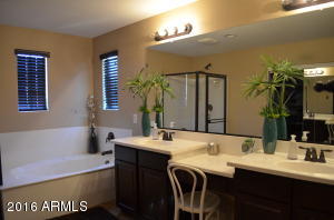 2684 E Rakestraw Ct, Gilbert, AZ 85298 photo 40
